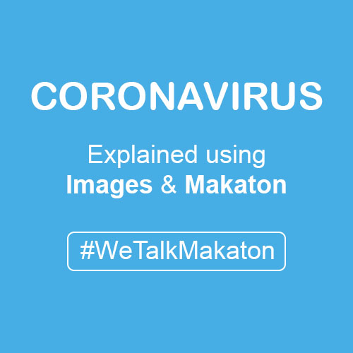 Coronavirus using images and makaton